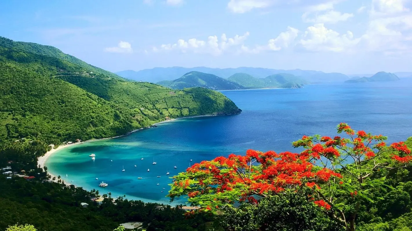 自动化高端节能